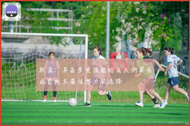 斯温：具备多重技能的高大侧翼或成首轮末最佳潜力股选择